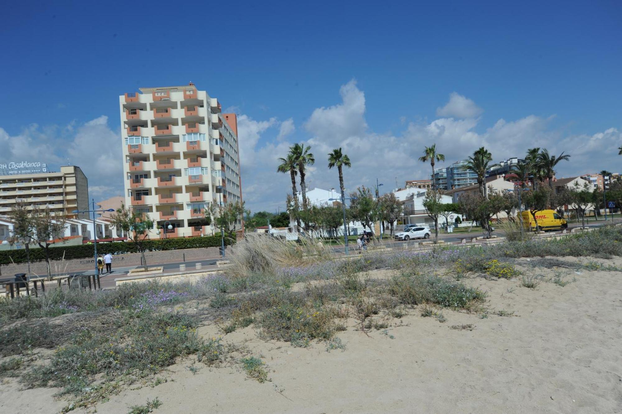 Europeniscola Orangecosta Appartement Buitenkant foto
